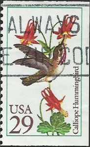 # 2646 USED CALLIOPE HUMMINGBIRD