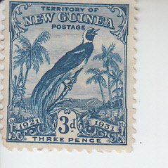 1931 New Guinea Bird of Paradise  (Scot t21) MH