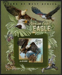 Sierra Leone #3274 MNH S/Sheet - African Fish Eagle - Birds