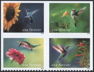 NEW ISSUE (Forever) Garden Delights Booklet Block of Four (2024) SA