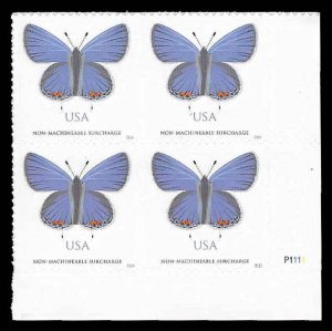 PCBstamps  US #5136 PB $2.72(4x68c)Eastern Tailed-Blue Butterfly, MNH, (PB-4a)