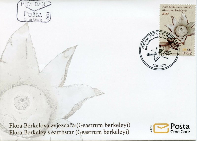 Montenegro Mushrooms Stamps 2020 FDC Berkeley's Earthstar Fungi Nature 1v Set