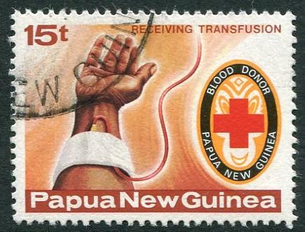 PAPUA NEW GUINEA 1980 - 15t USED