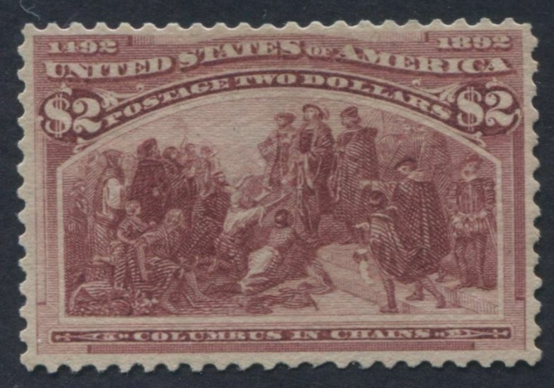 Scott 242 Mint VF-XF expertly regummed   (09/21 TJ)