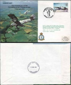 B16a 70th Anniv of the Formation of No.17 Squadron Standard Cover