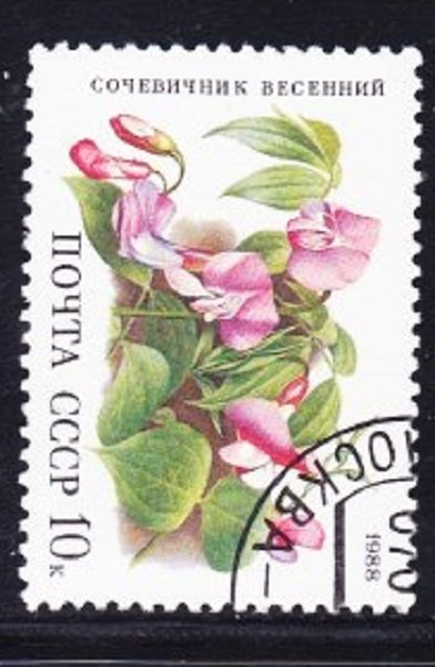 Russia 5688 Forest Flowers Used Single