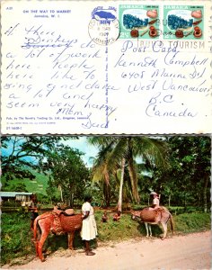 Jamaica, Picture Postcards