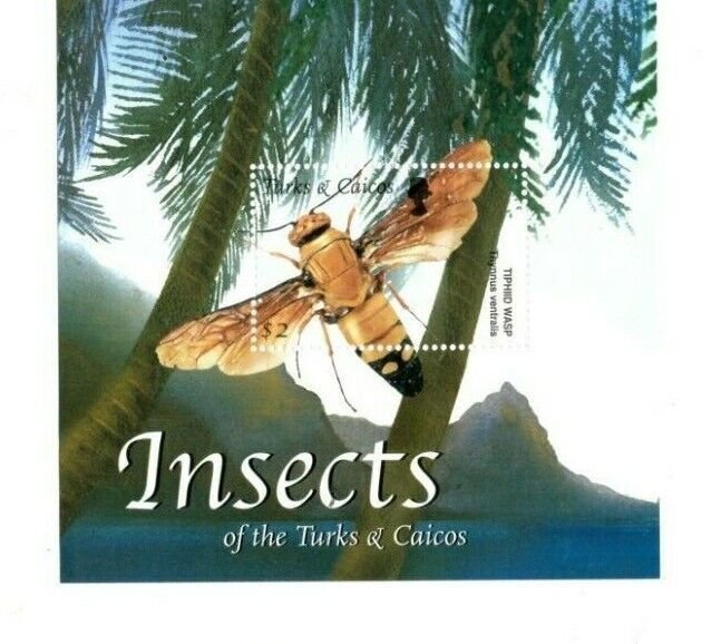 Turks and Caicos - 2002 - Insects - Souvenir stamp Sheet - MNH