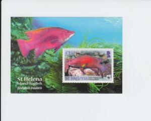 2011 St Helena WWF Island Hogfish SS (Scott 1039) MNH