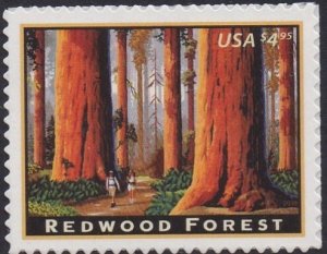 4378 Redwood Forest MNH