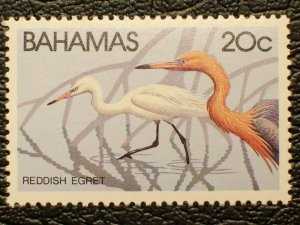 Bahamas Scott #493 mnh