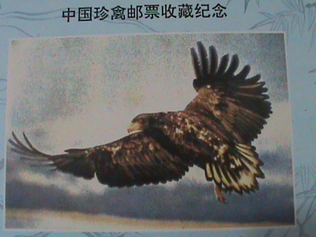​CHINA-RARE BEAUTIFUL LOVELY EAGLE  MNH IMPERF S/S VF OFFICIAL EDITION:
