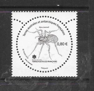 FRENCH SOUTHERN ANTARCTIC TERRITORY #576 INSECT MNH
