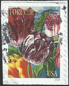 # 5043 Used Botanical Art Tulips