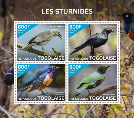 Togo Stamps 2019 .- Starlings (Sturnia malabarica; Aplonis metallica; Lamprotorn