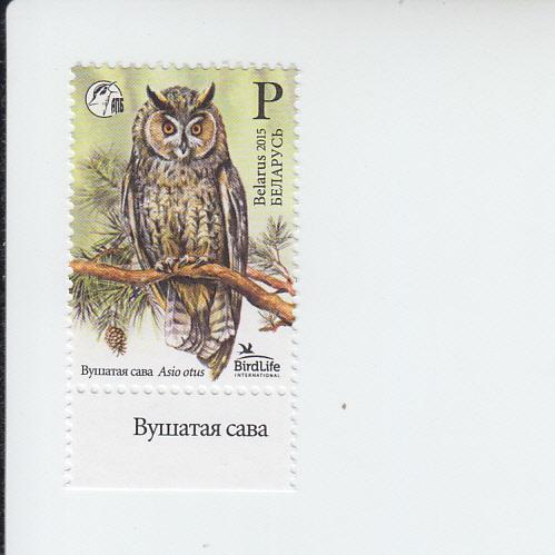 2015 Belarus Bird of the year Owl (Scott 936) MNH