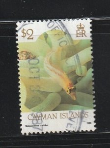 Cayman Islands 572 U Marine Life