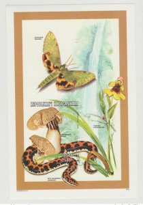 Madagascar 1998 Mi. Bl. 281B Butterfly Mushroom Bird Snake Butterfly Birds-