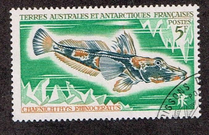 French Southern & Antarctic Territories 1971  37 Used