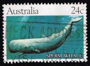 Australia #821 Sperm Whale; Used (0.55)