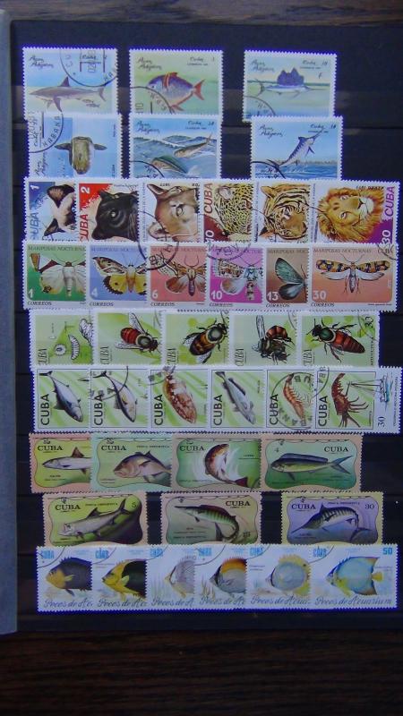 1971 1985 sets Fish Butterflies Bees Cats Fishing VFU