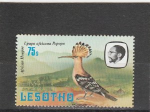 Lesotho  Scott#  331  MNH  (1981 African Hoopoe)