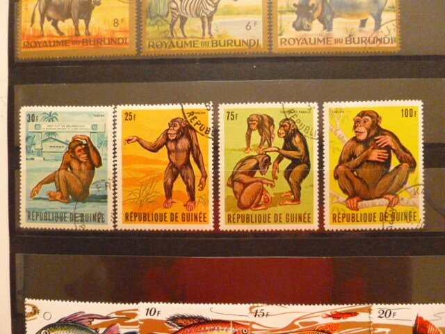 1962 BURUNDI & Guinea stamps collection Wild animal #10