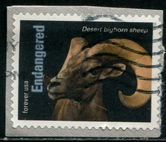 5799s US (63c) Endangered Species - Desert Bighorn Sheep SA, used on