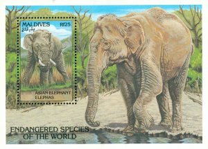MALDIVES 1866  MH S/S  SCV $8.00 BIN $4.00 ELEPHANTS
