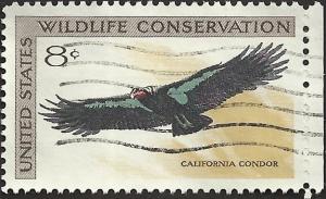 # 1430 USED CALIFORNIA CONDOR