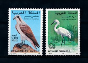 [102177] Morocco 1996 Birds vogel oiseaux eagle  MNH