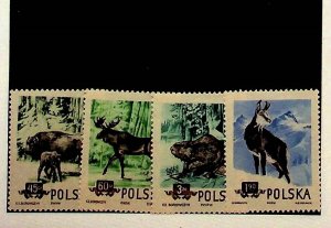 POLAND Sc 660-3 NH ISSUE OF 1954 - ANIMALS