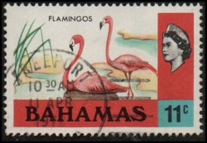 Bahamas 322 - Used - 11c Flamingos (1971) (cv $3.00) (2) +