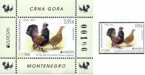 MONTENEGRO/2019, (STAMP+BLOCK SET) EUROPA CEPT (BIRDS, GOOSE), MNH