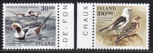 Iceland, Fauna, Birds MNH / 1988