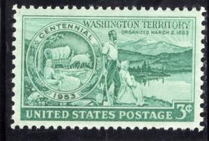1019 Washington, MNH