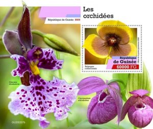 Guinea - 2020 Costa Rican Telipogon Orchid - Stamp Souvenir Sheet - GU200207b