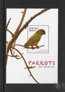 BIRDS - GHANA #2705  PARROTS  MNH