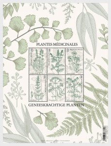 Belgium / België - Postfris/MNH - Sheet Medicinal Plants 2022