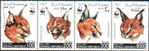 WWF   MNH 1998 Somalia Wild Cats