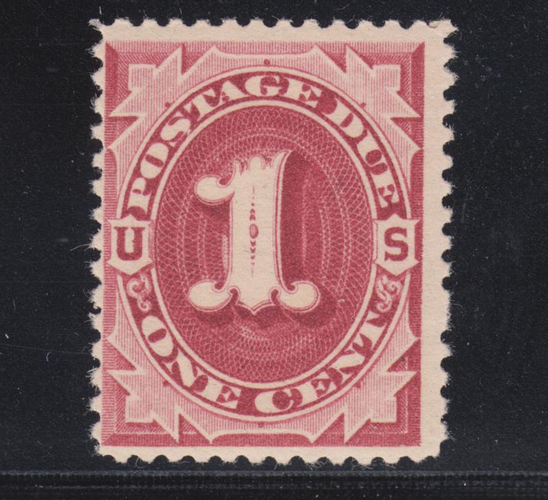 US Sc J22 MNH. 1891 1c claret Postage Due, unwatermarked, lt gum bend