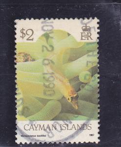 Cayman Islands  Scott#  572a  Used