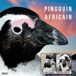 Togo 2014 - African Penguins - Souvenir sheet - MNH