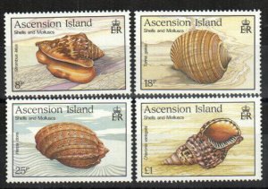 Ascension Stamp 476-479  - Shells & Mollusks