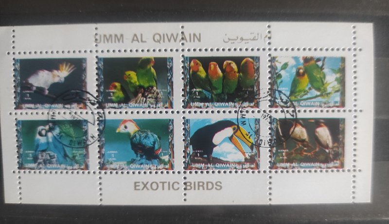 Exotic birds Block 1972,Umm al Qiwain