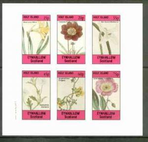 Eynhallow 1982 Flowers #24 (Narcissus x 2, Cosmus, Nemoph...