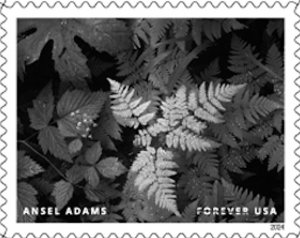 US 5854h Ansel Adams Mount Rainier National Park WA F single MNH 2024 after 5/25