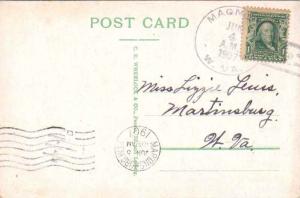 United States West Virginia Magnolia 1907 doane 3/2  1871-1943  PC.