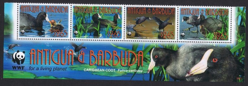 Antigua and Barbuda Birds WWF Caribbean Coot Strip of 4v WWF Logo 2009 MNH