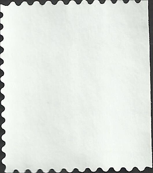 # 3296 USED STRAWBERRIES